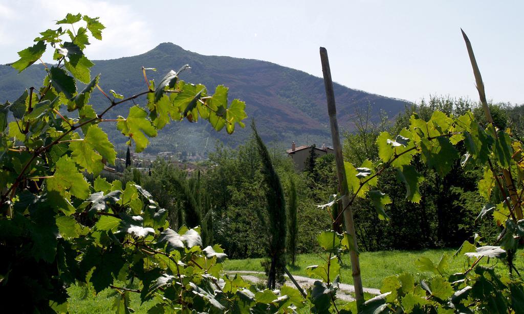 Al Palazzaccio Villa Calci Buitenkant foto