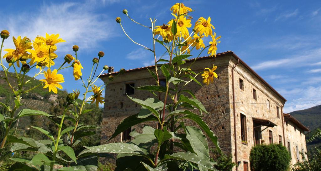 Al Palazzaccio Villa Calci Kamer foto