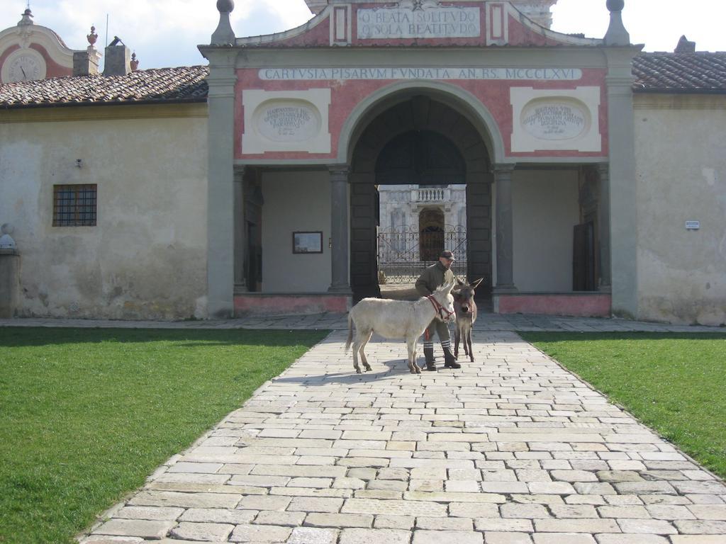 Al Palazzaccio Villa Calci Buitenkant foto
