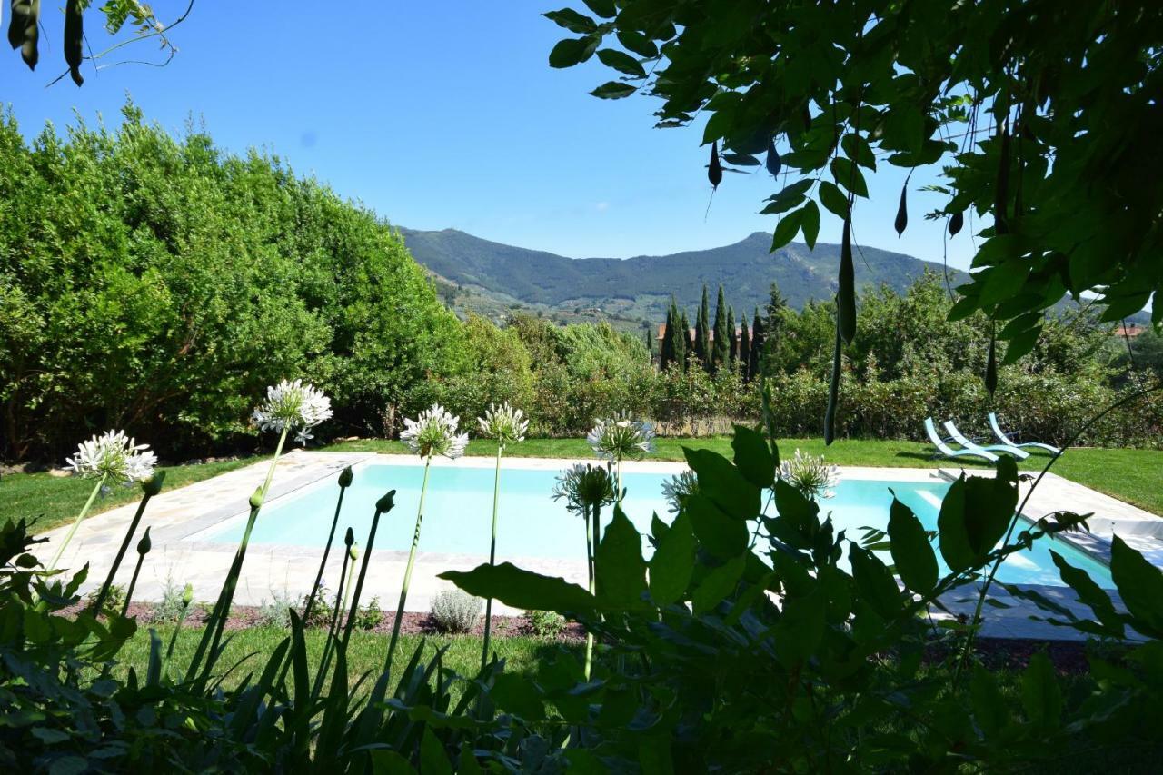 Al Palazzaccio Villa Calci Buitenkant foto